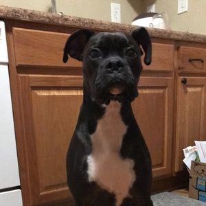 Meet your Posher, Becca